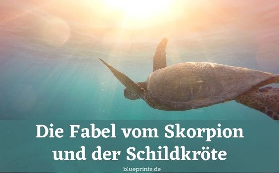 Fabel Skorpion und Schildkröte