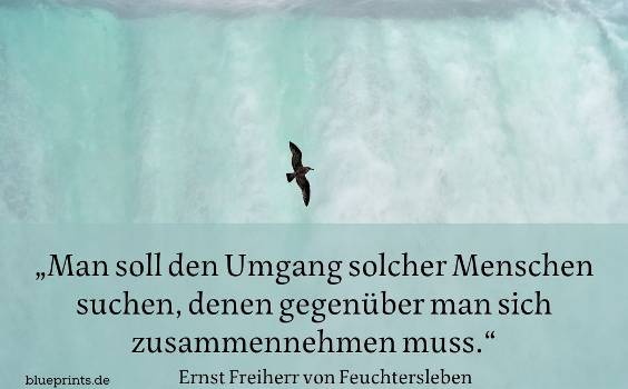 Eine Möwe fliegt vor einem riesigen Wasserfall
