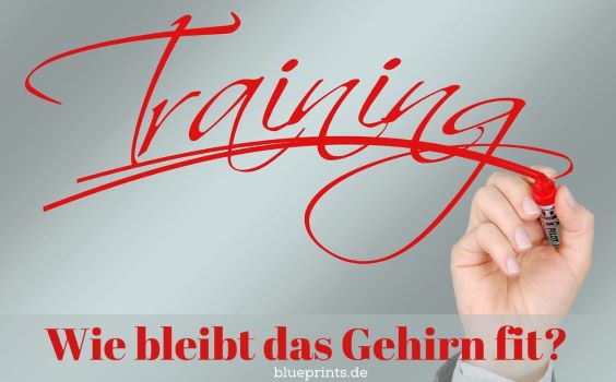 Das Gehirn fit halten – Tipps und Empfehlungen