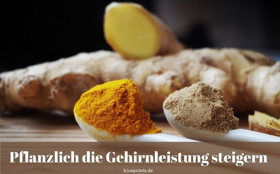 Gehirnleistung steigern pflanzlich