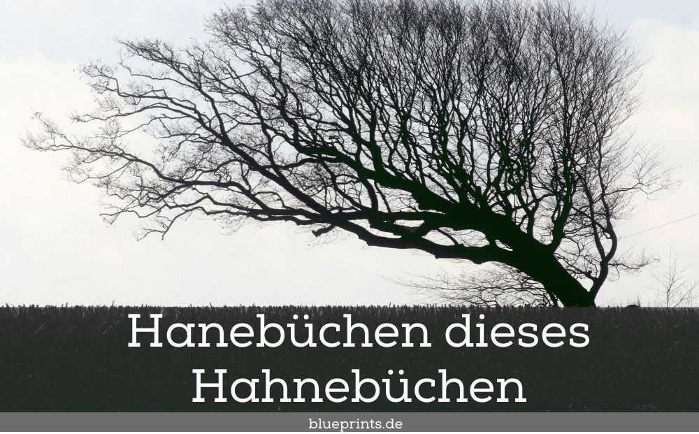 Hanebüchen
