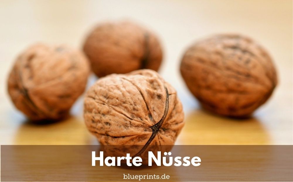 Harte Nüsse