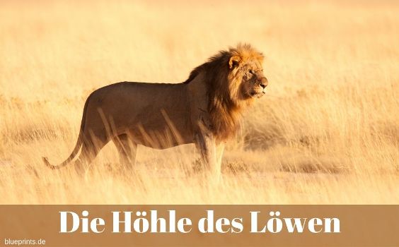 Höhle des Löwen