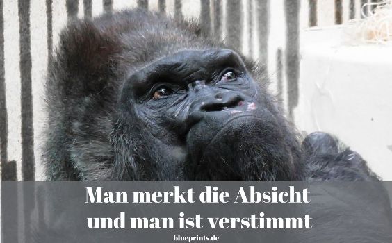 Man merkt die Absicht und man ist verstimmt