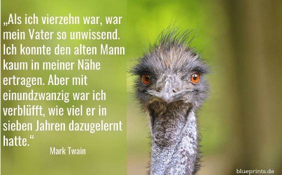 Ein Emu starrt uns an