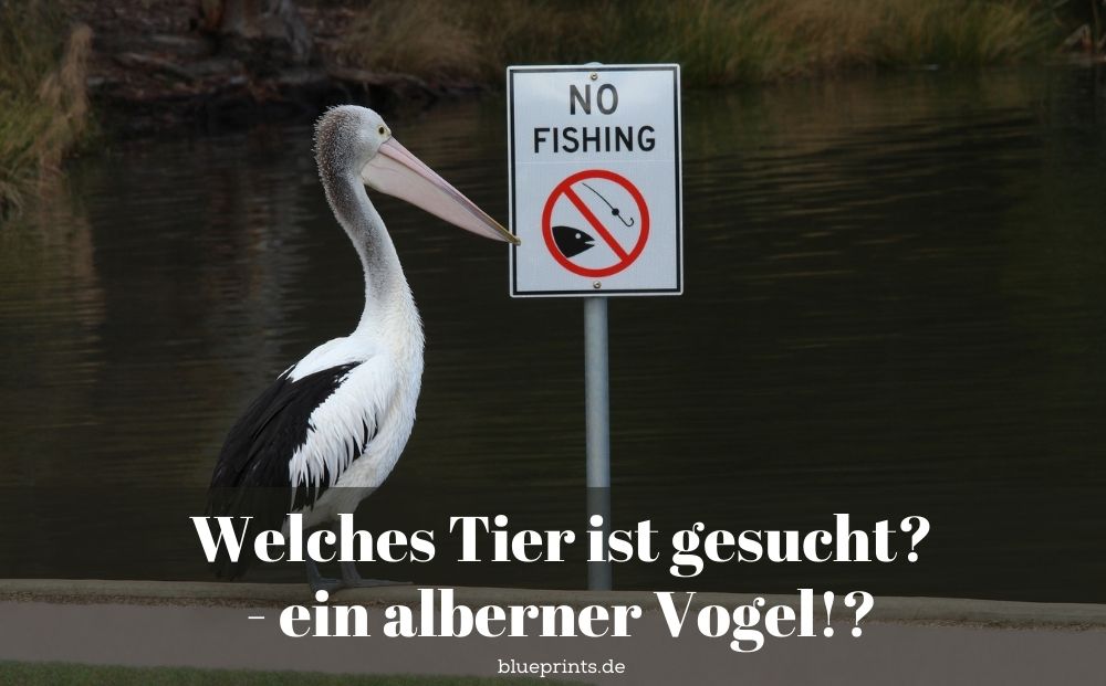 Aufgabe: Das menschliche Tierlexikon - alberner Vogel