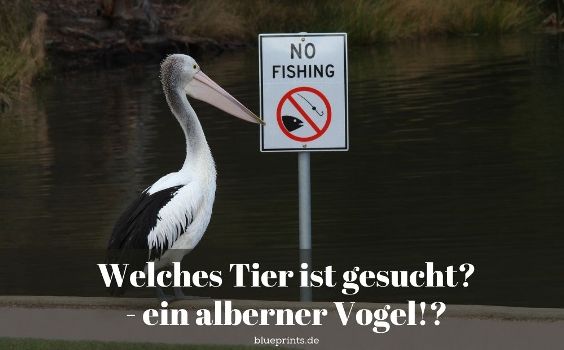 Aufgabe: Das menschliche Tierlexikon - alberner Vogel