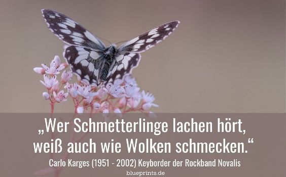 Novalis - Wer Schmetterlinge lachen hört