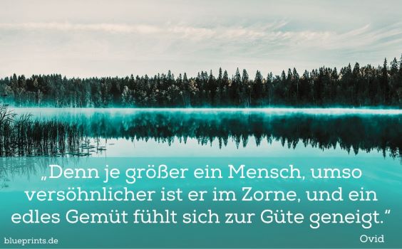 Ein See mit Bäumen im Hintergrund