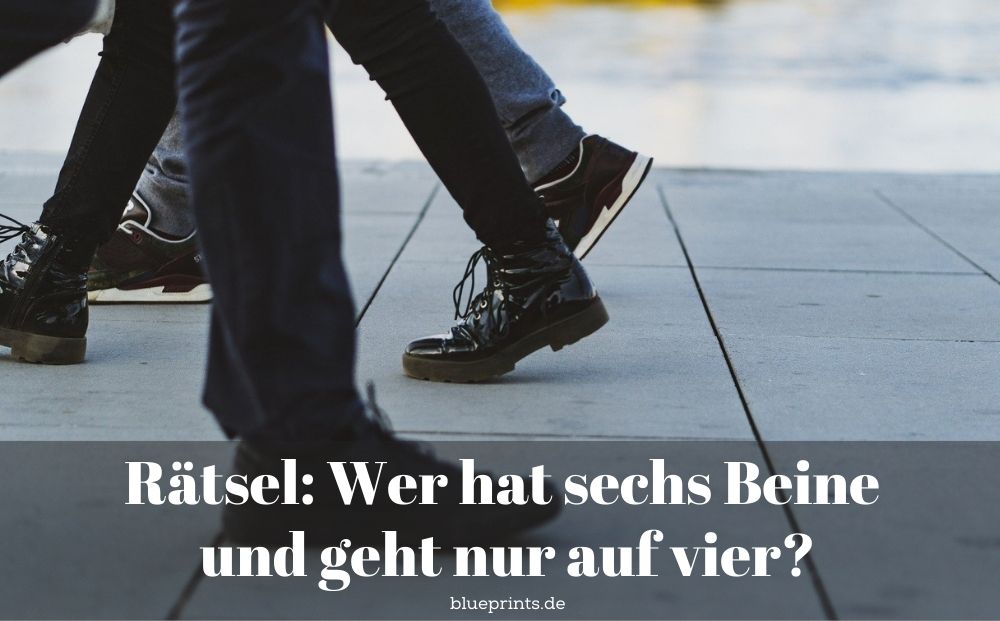 Rätsel Beine