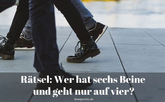 Rätsel Beine