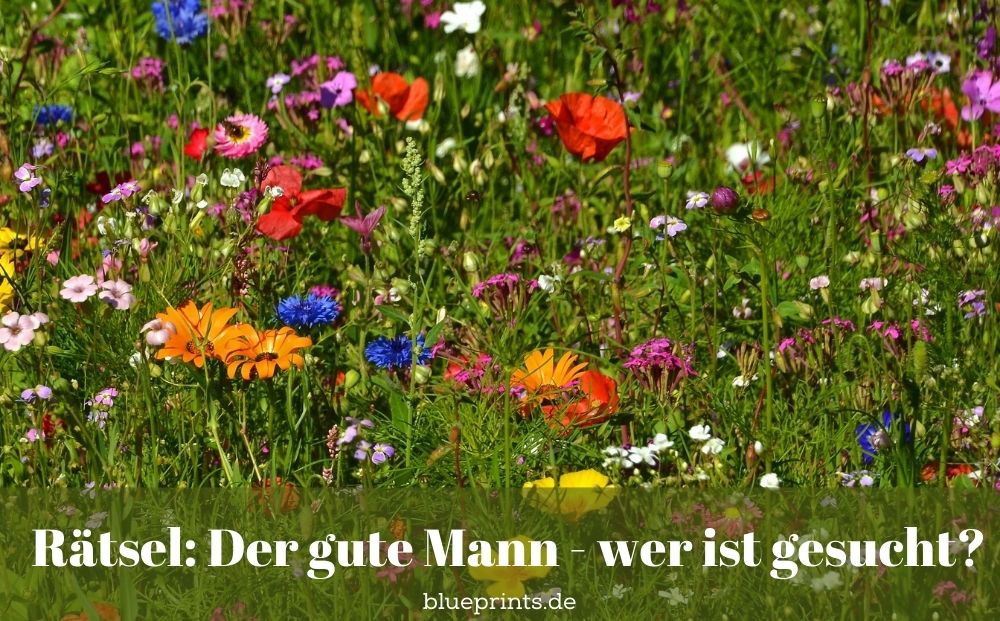 blühende Blumenwiese