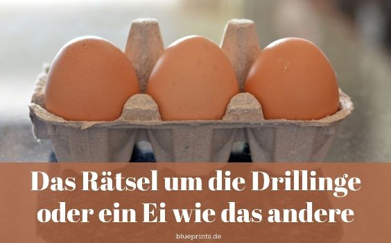 Rätsel Drillinge