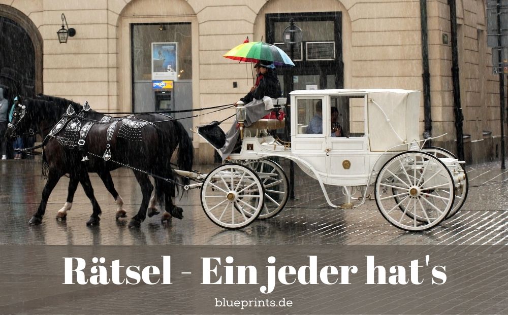 Rätsel - Ein jeder hat es