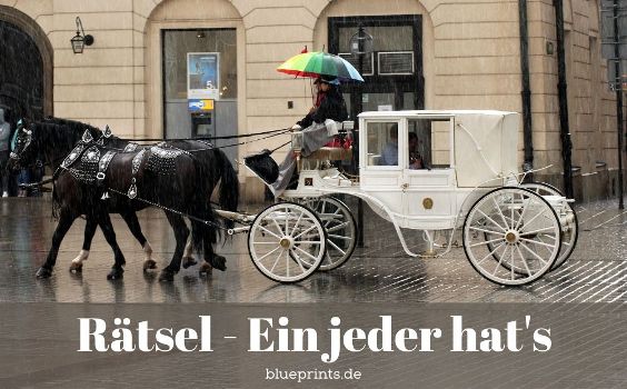 Rätsel - Ein jeder hat es