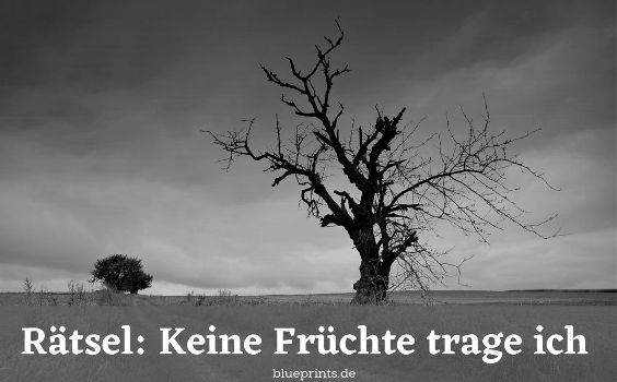Rätsel Früchte