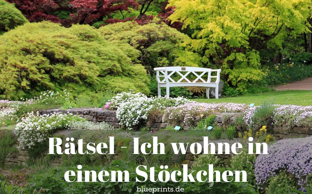 Ein schöner Garten mit Bank