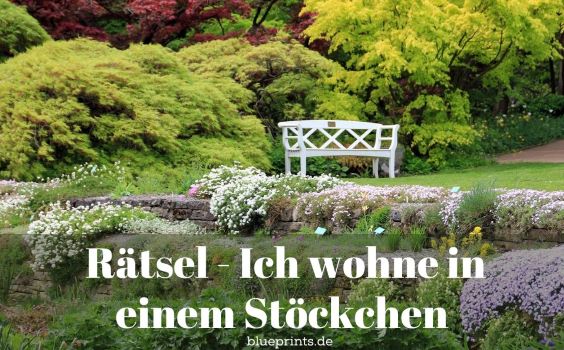 Ein schöner Garten mit Bank