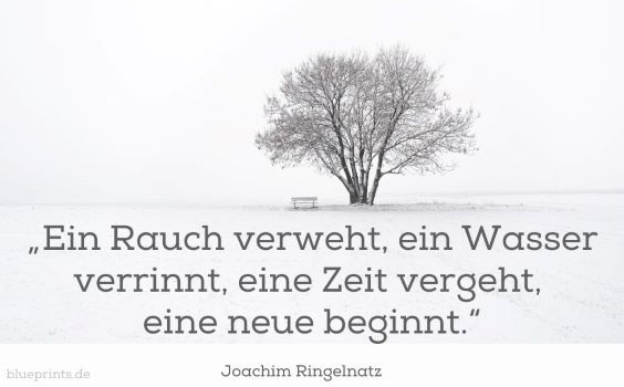 Ein einsamer Baum