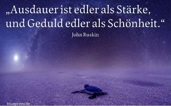 Kleine Schildkröte am Strand
