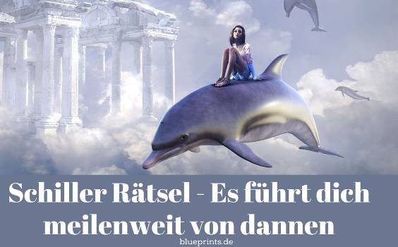 Frau sitzt auf dem Rücken eines Delphins