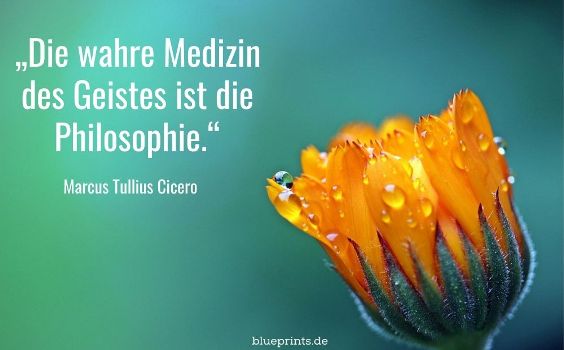 Schule des Glücks - Philosophie