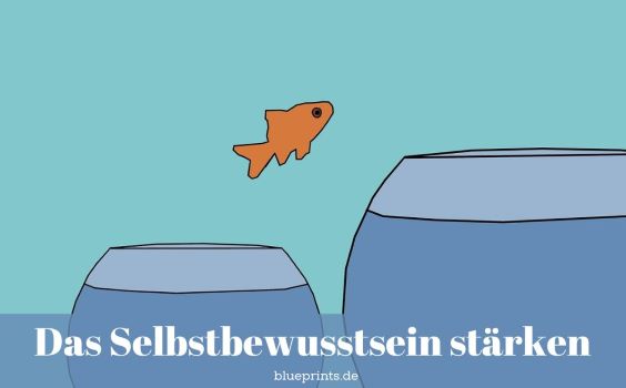 Der Goldfisch traut sich