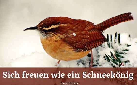 Sich freuen wie ein Schneekönig