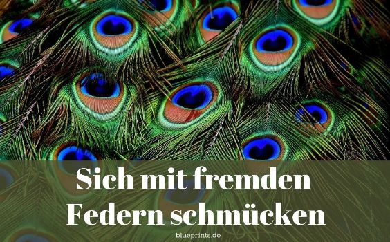 Mit fremden Federn schmücken