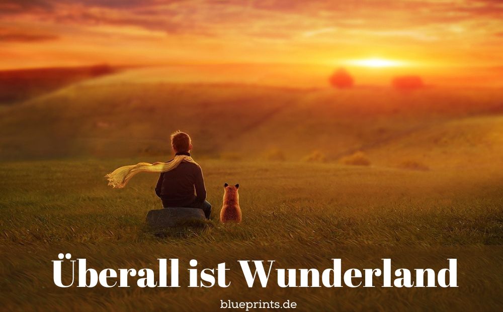 Junge und Fuchs blicken in den Sonnenuntergang.