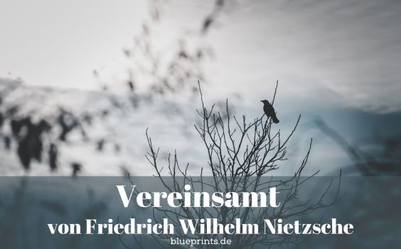 Eine Krähe sitzt in einem kahlen Baum.
