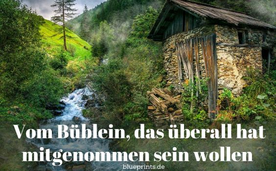 Ein reissender Bergbach