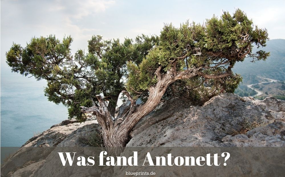 Rätsel - Was fand Antonett?