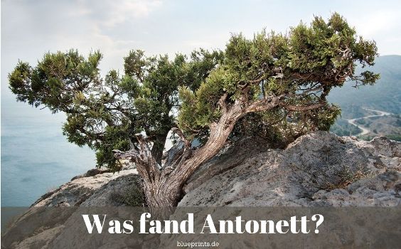 Rätsel - Was fand Antonett?