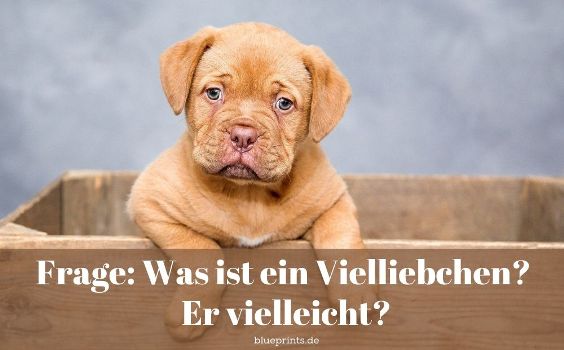 Was ist ein Vielliebchen?