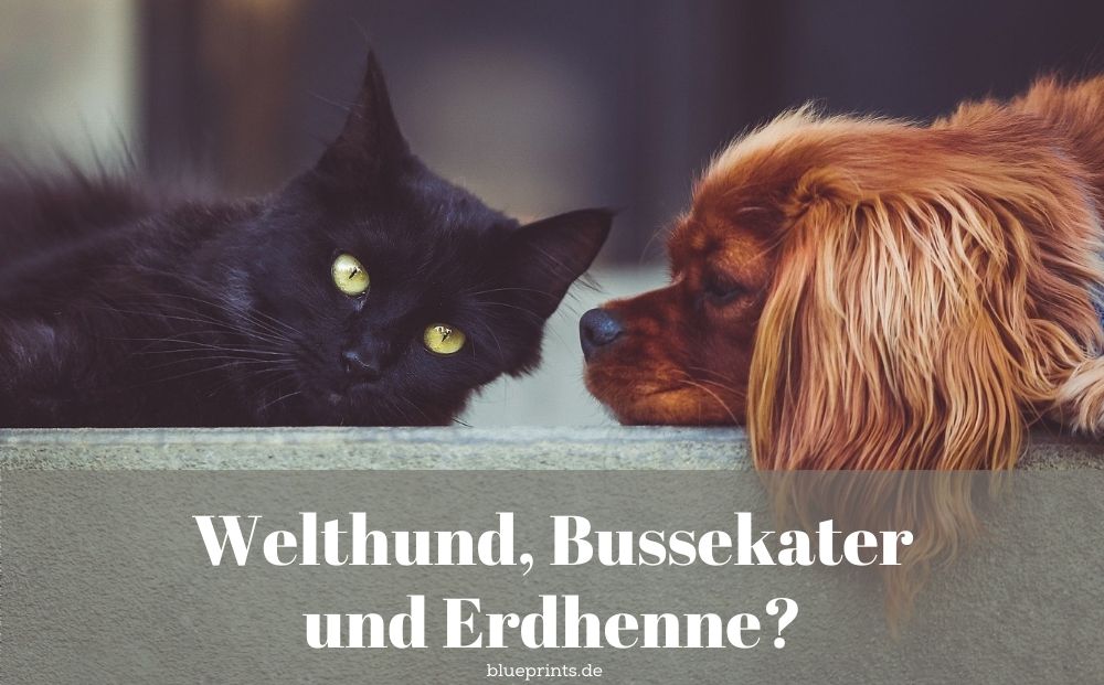 Welthund, Bussekater, Erdhenne