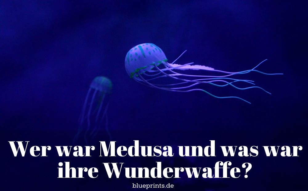 Eine Medusa-Qualle