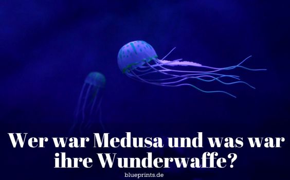 Eine Medusa-Qualle