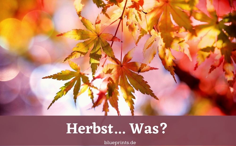 Wörter mit Herbst am Anfang - Aufgabe
