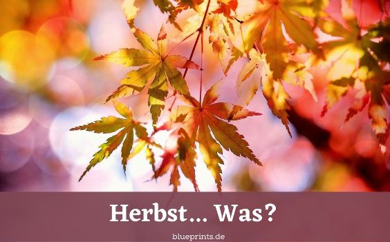 Wörter mit Herbst am Anfang - Aufgabe