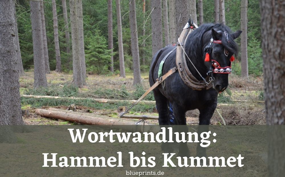 Wortwandlung Hammel bis Kummet