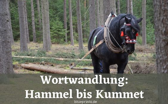 Wortwandlung Hammel bis Kummet