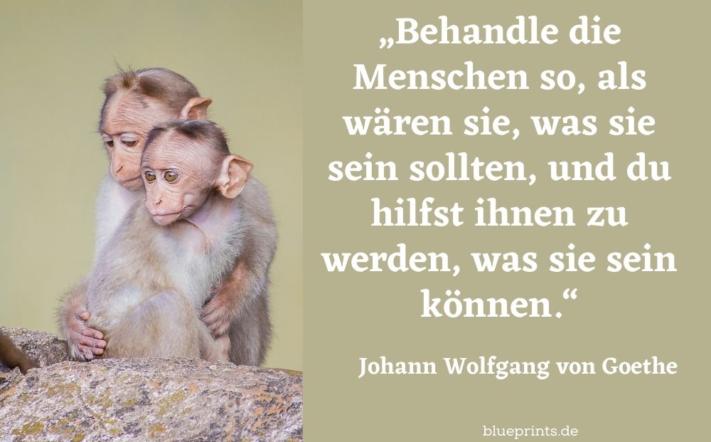 Zitat Goethe Menschen