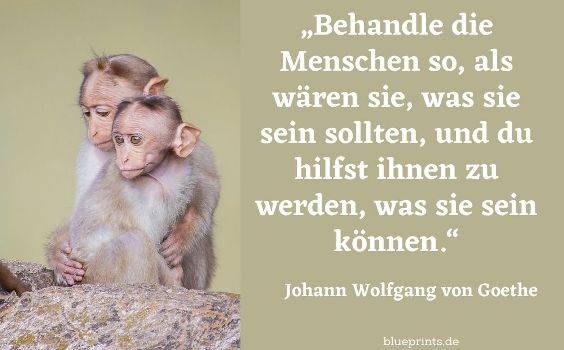 Zitat Goethe Menschen