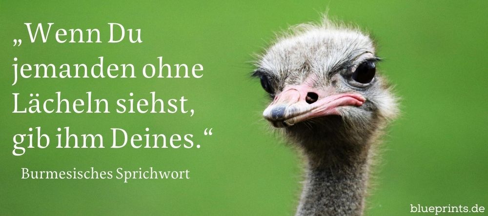 Strauß schaut etwas skeptisch