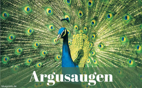 Argusaugen