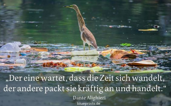 Ein Reiher watet in vermülltem Gewässer.