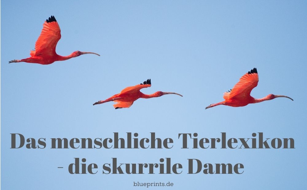 Aufgabe Das menschliche Tierlexikon - skurrile Dame