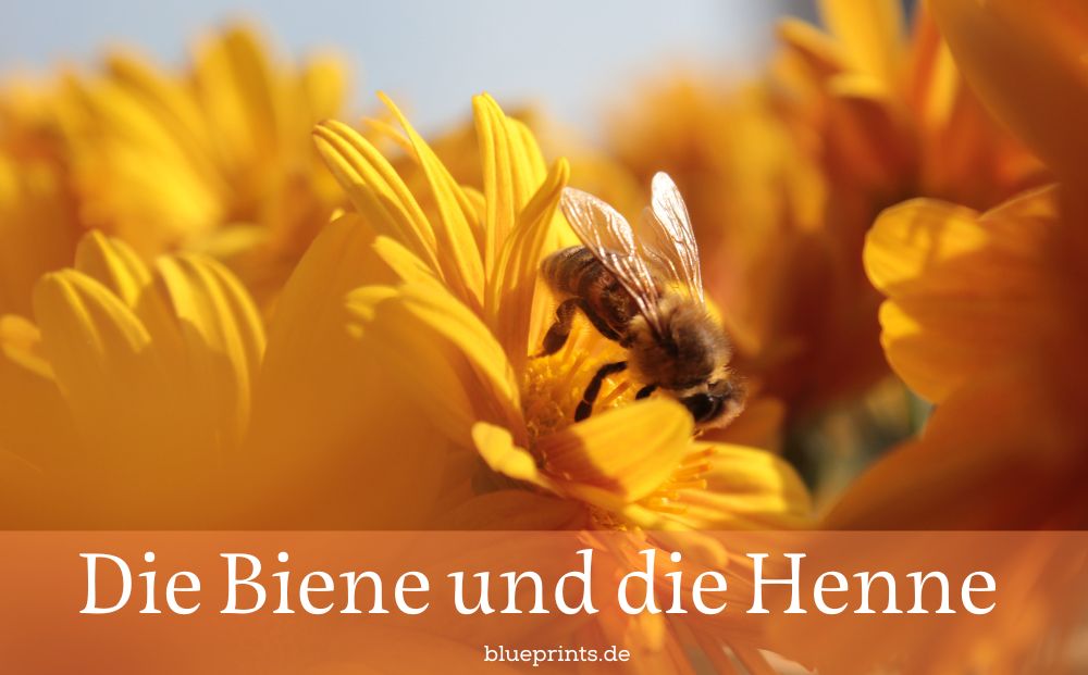Eine Biene bei der Arbeit