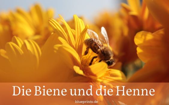 Eine Biene bei der Arbeit